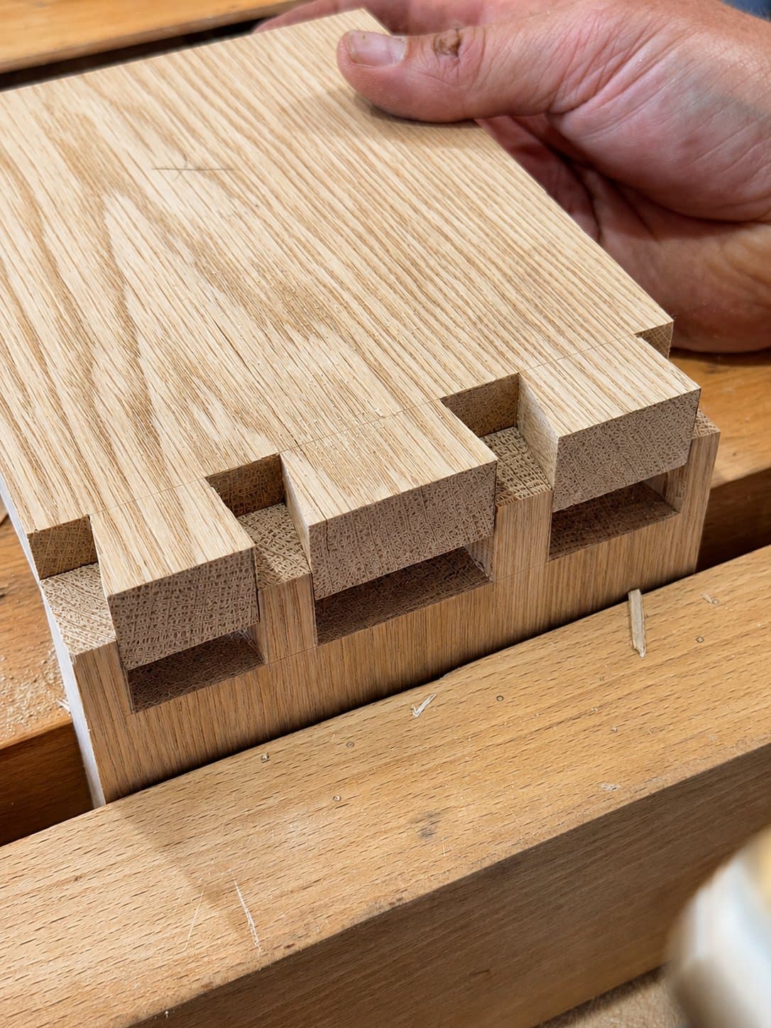 Colas de Milano — Made de Madera